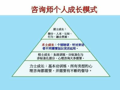心理愛(ài)好者、咨詢師與非專(zhuān)業(yè)學(xué)員 在技術(shù)咨詢浪潮中的定位與前景