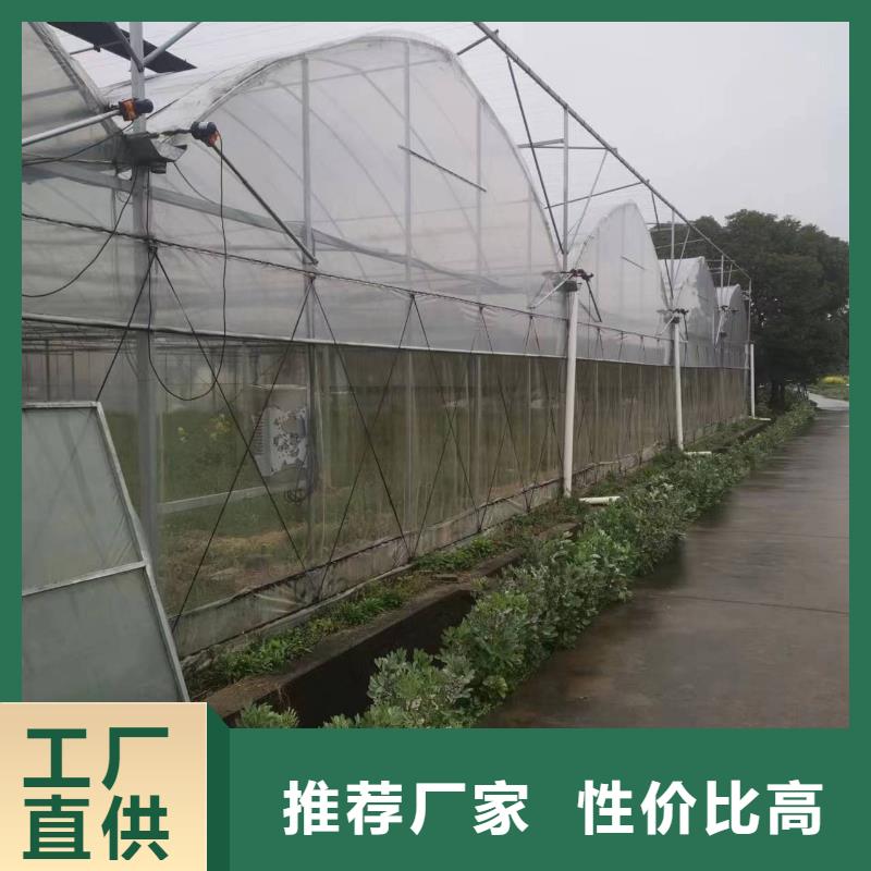 順德現代化農業新篇章 智能大棚引領蔬菜水產花卉育苗產業升級